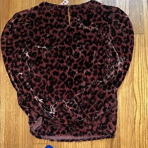 Dolan velvet top